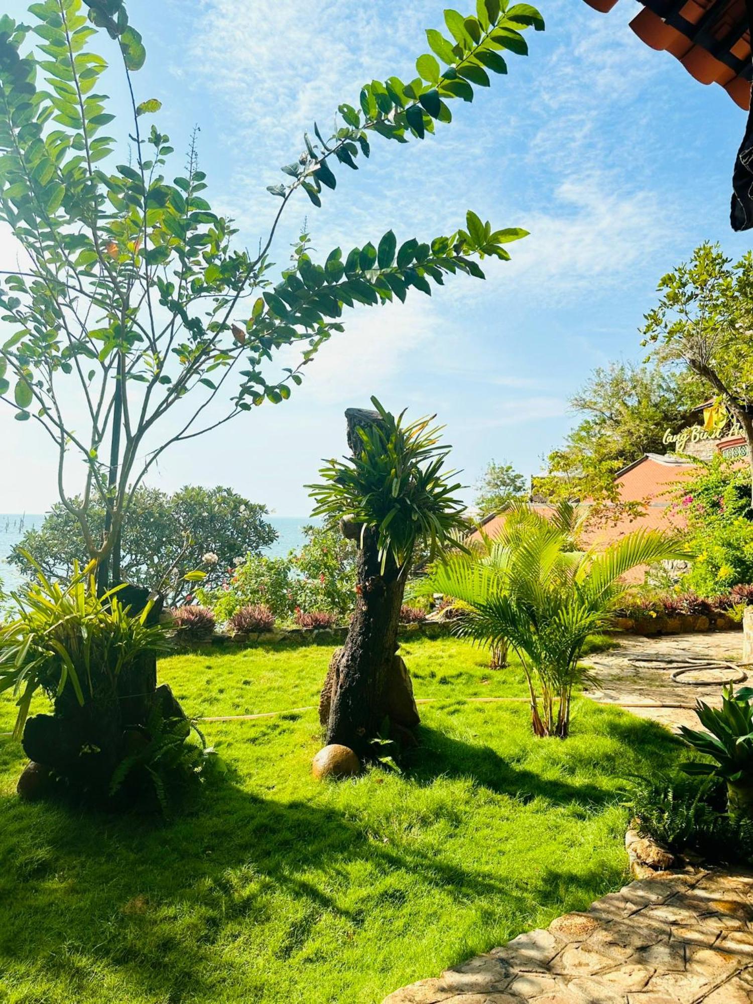 Binh An Village וונג טאו מראה חיצוני תמונה