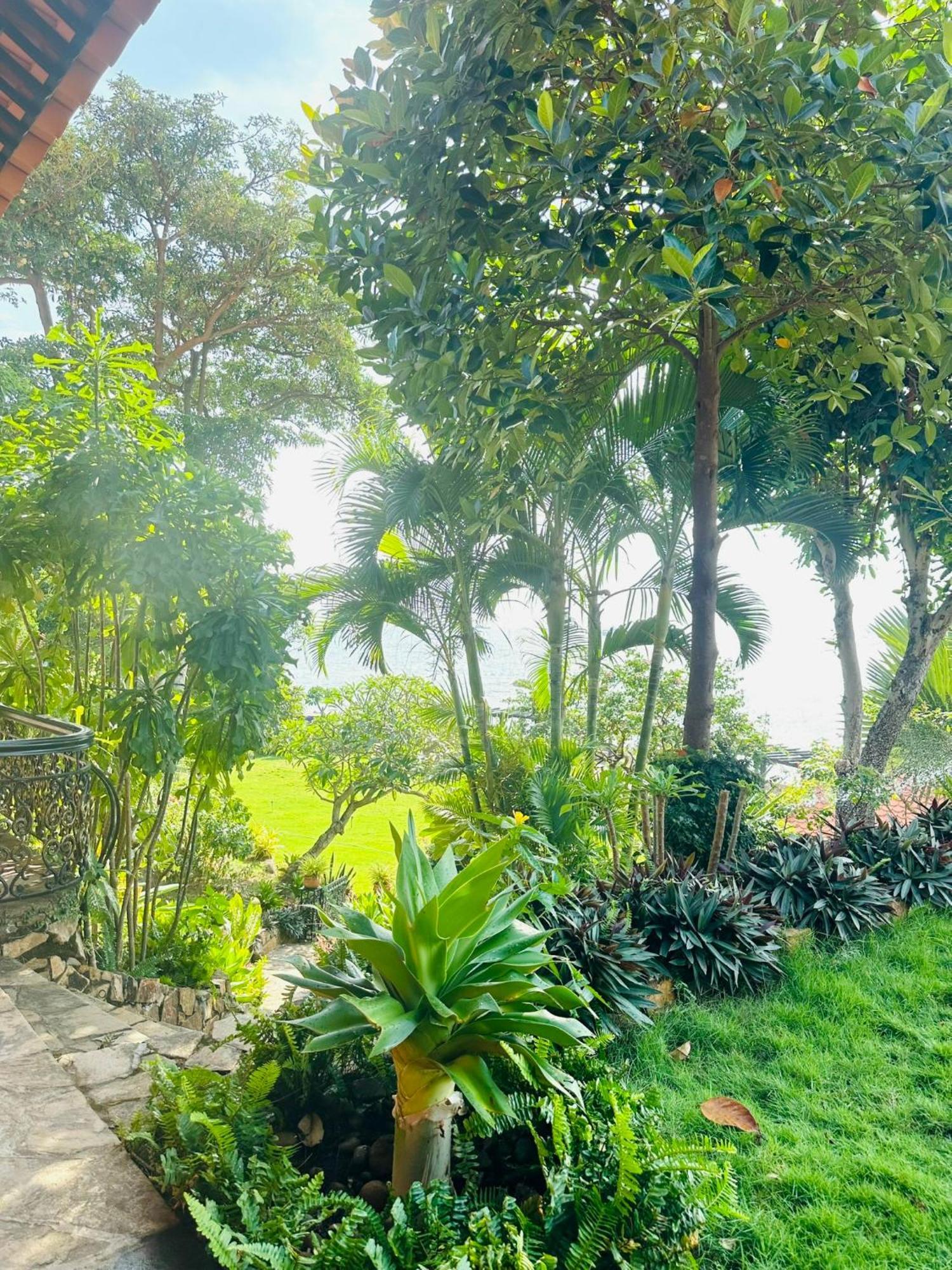 Binh An Village וונג טאו מראה חיצוני תמונה